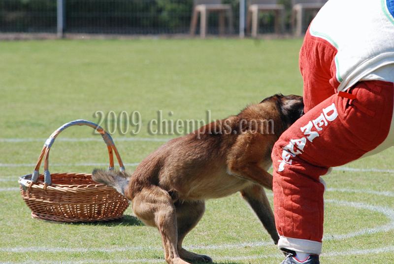 3 EME SELECTIF 2009 GRANDE SYNTHE 186.jpg